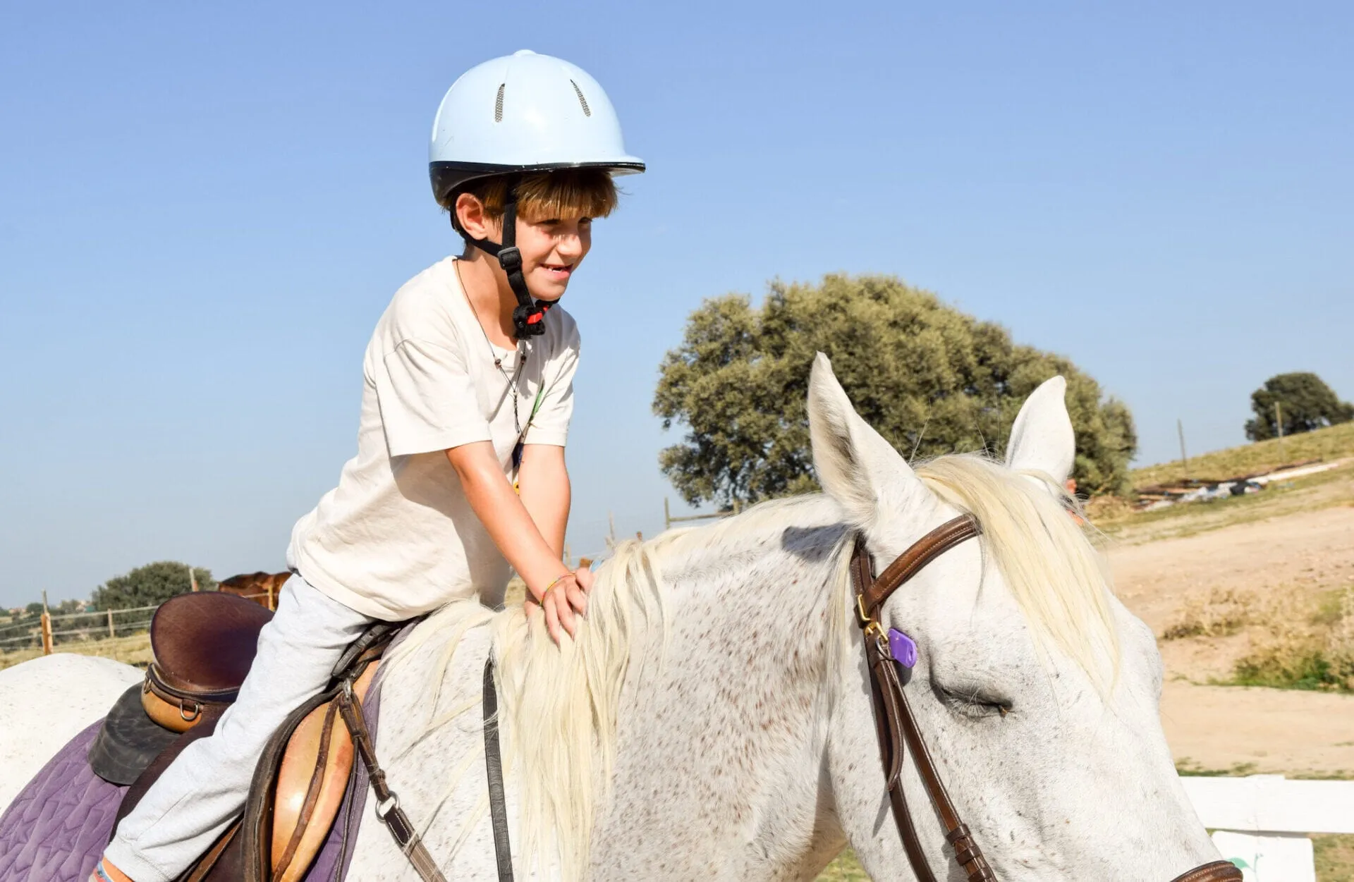 Un niño con casco monta un caballo blanco en la pista