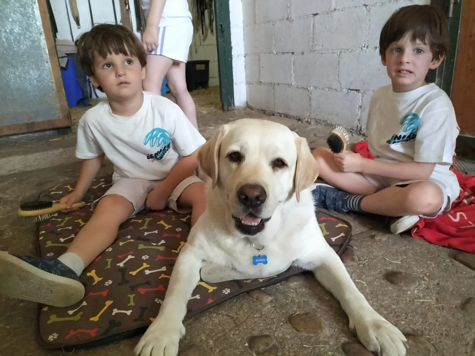 Un niño del campamento junto a la perra de terapia