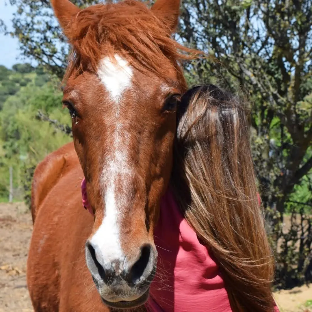 Una joven adulta apoya la cabeza en el cuello del caballo