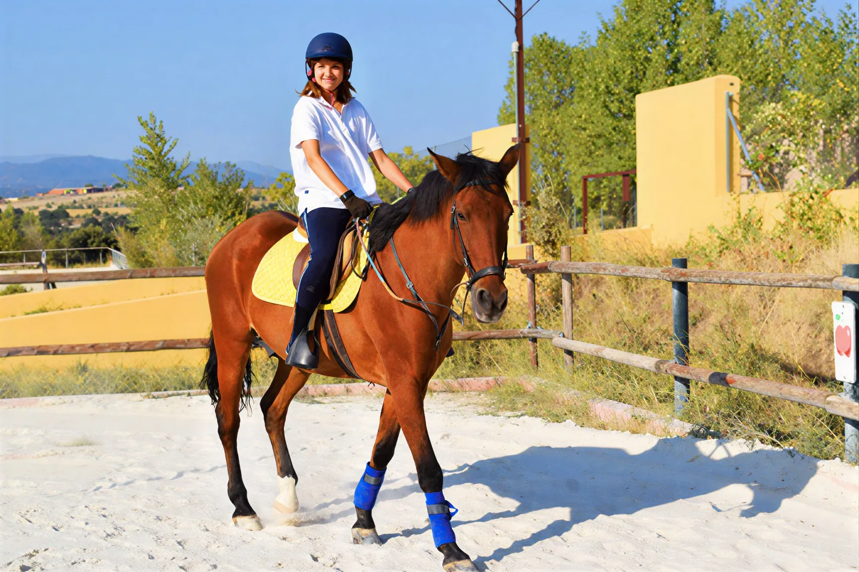 Una joven con casco monta sola un caballo castaño en la pista