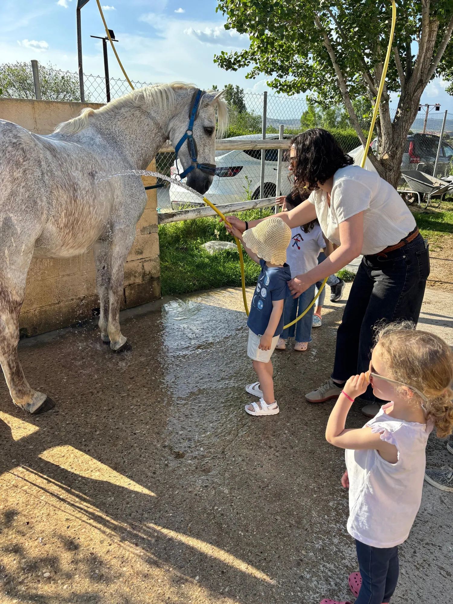 Una monitora y dos niñas duchan a un caballo blanco