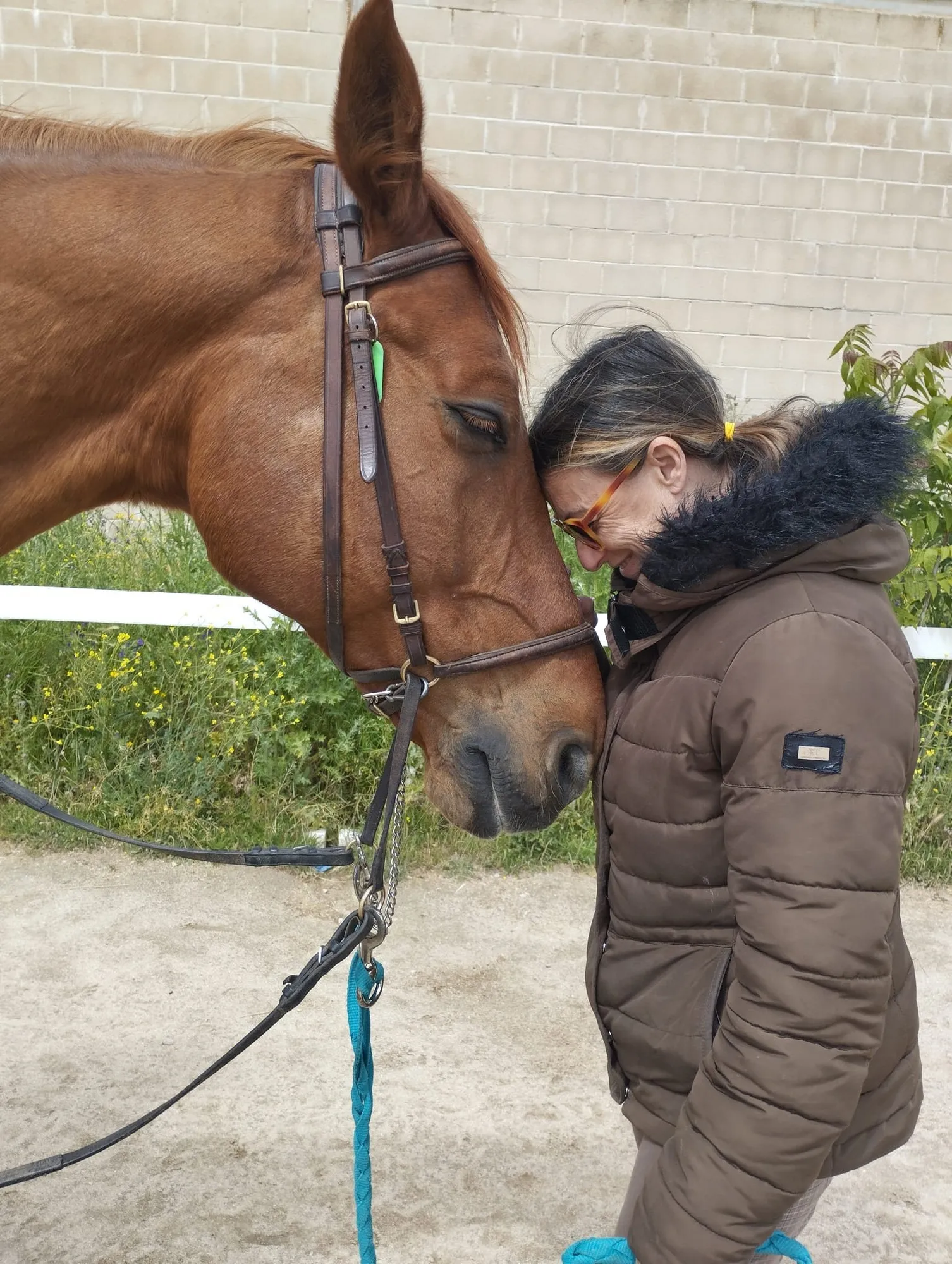 Una mujer apoya la cabeza en la del caballo