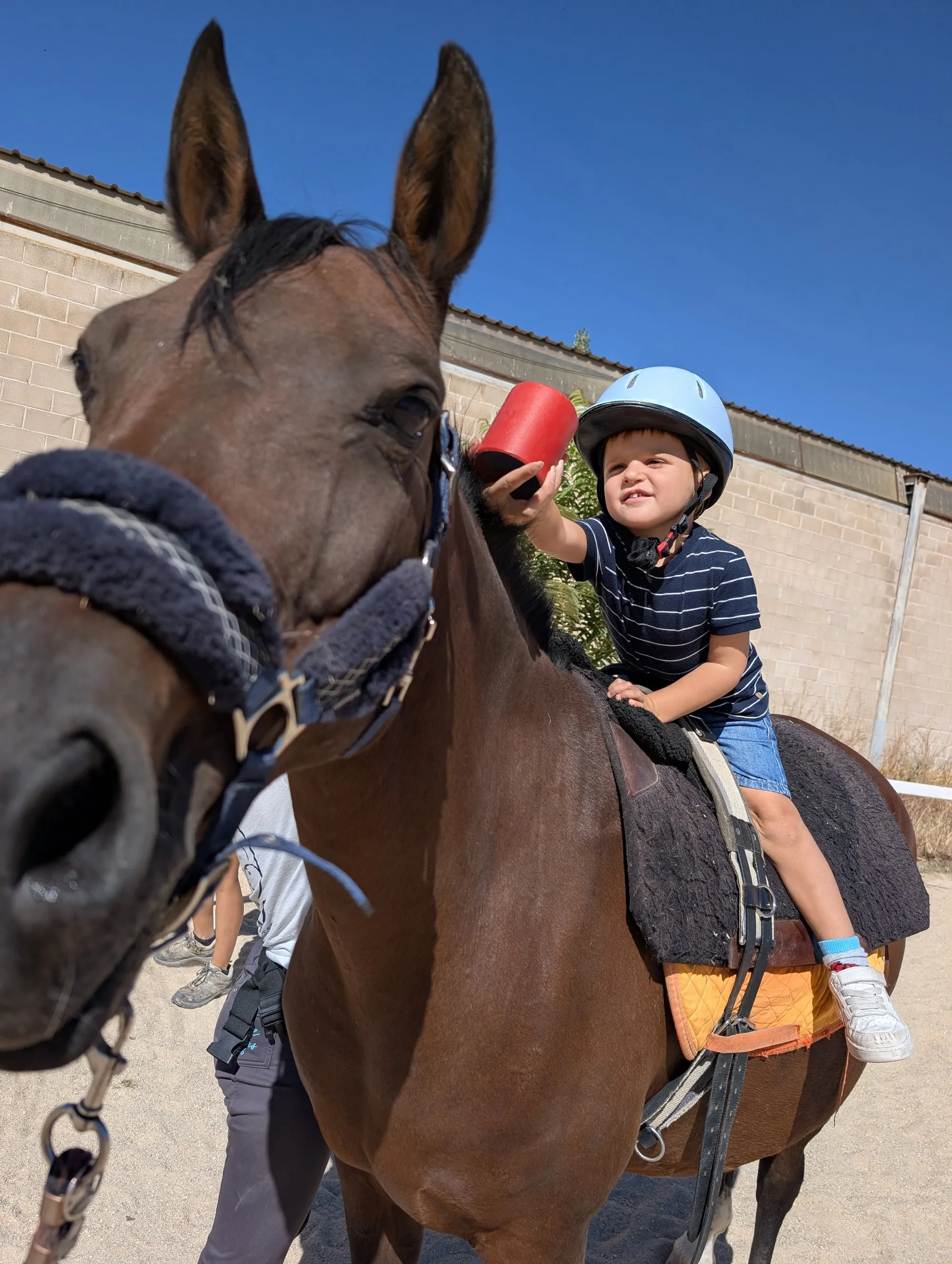 Un niño a caballo juega con un vaso durante una sesión