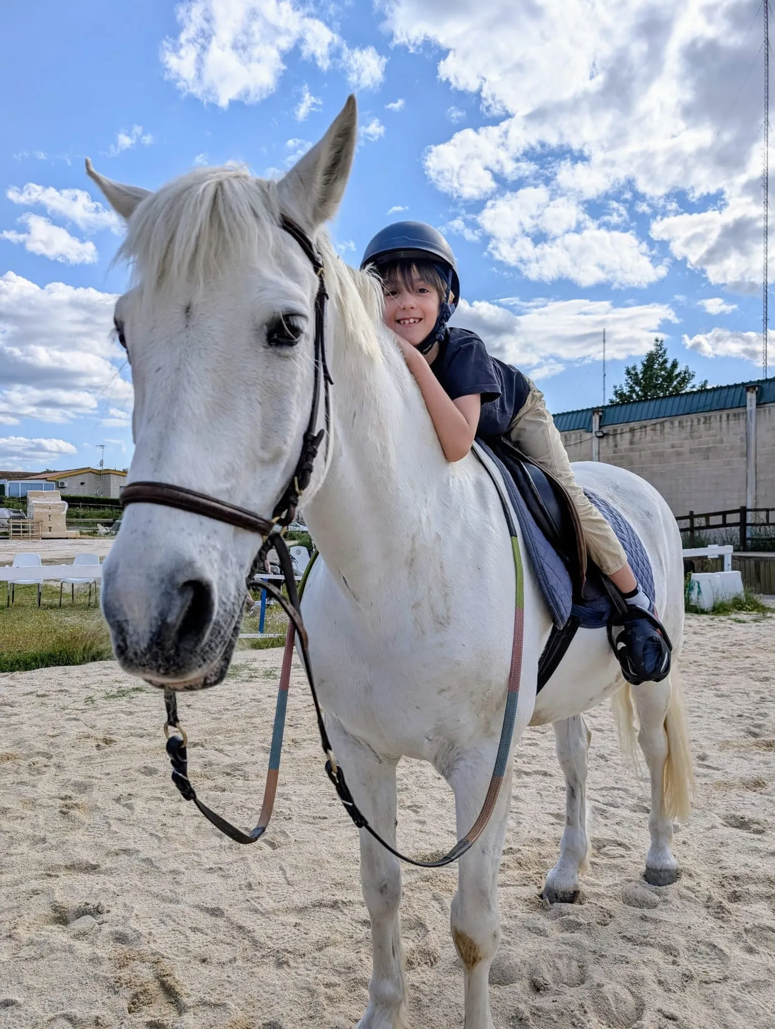 Un niño se abraza a un caballo blanco en la pista
