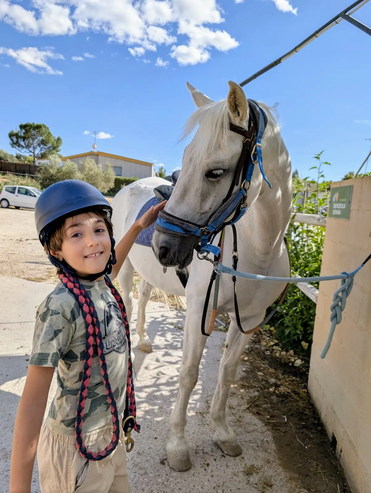 Taller con caballos: un niño lleva de la mano a un caballo blanco