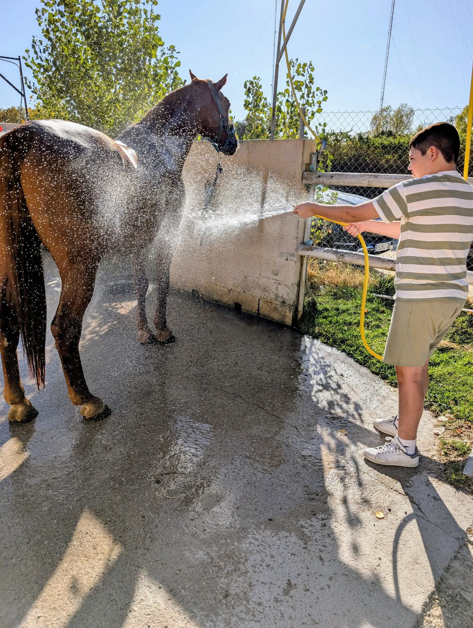 Un niño lava al caballo con la manguera