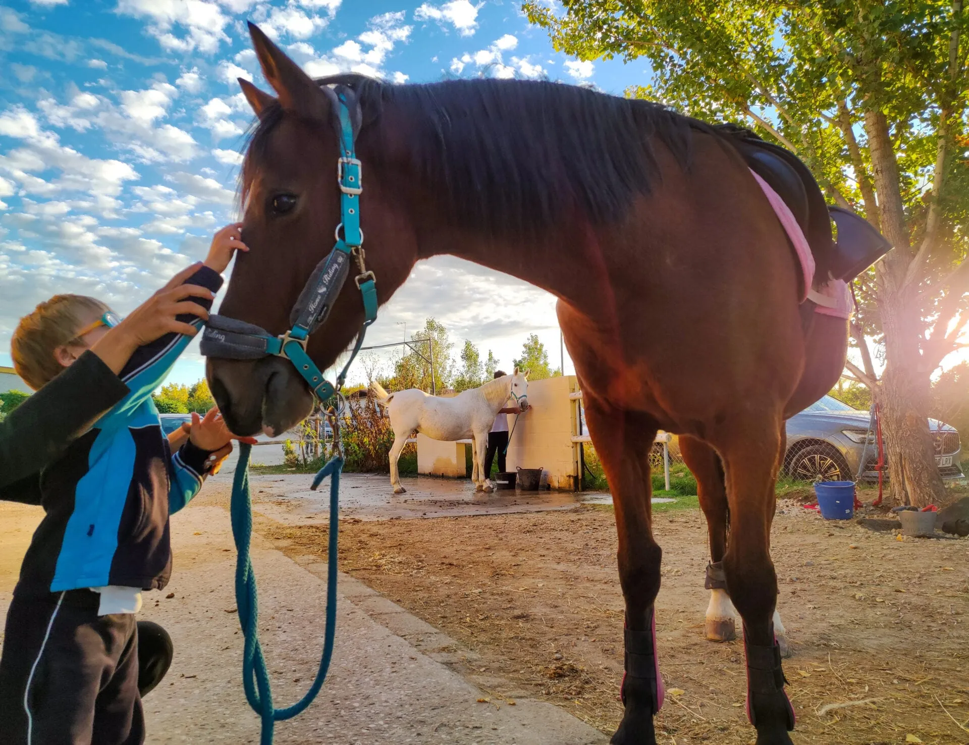 Un voluntario acaricia a uno de los caballos de terapia en la cuadra