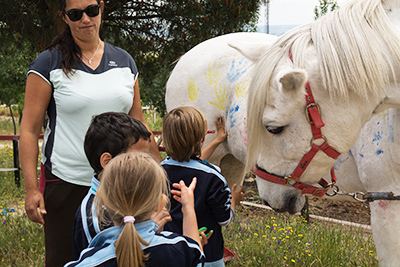 Actividades-de-Ocio-con-caballos-al-paso