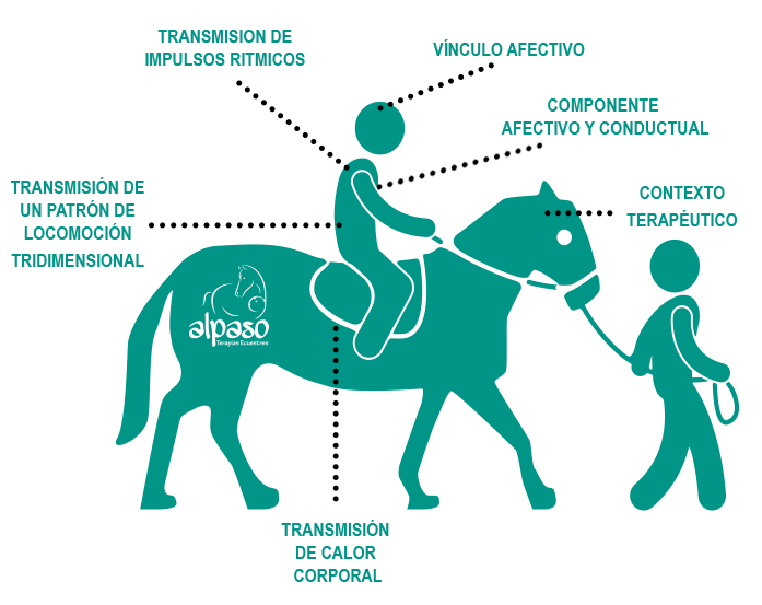 Al-Paso-2