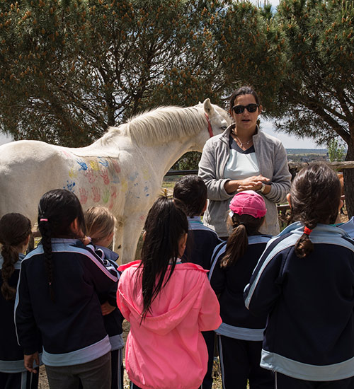 educacion-secundaria
