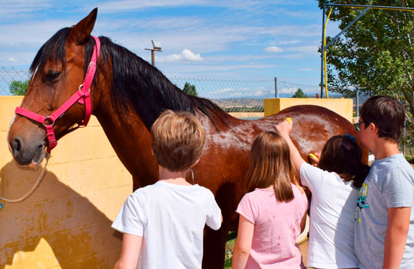 Intervenciones-Asistidas-con-Caballos-m