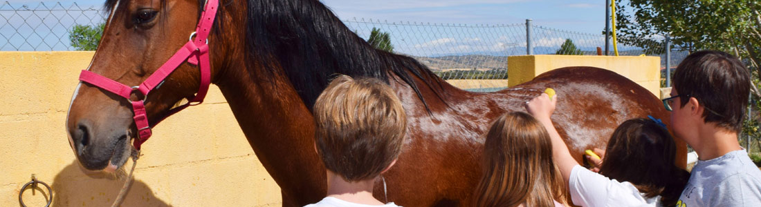 Intervenciones-Asistidas-con-Caballos