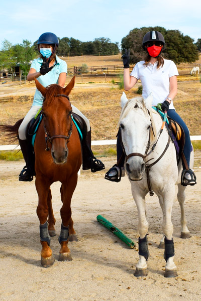 reposo léxico Recoger hojas Terapia con caballos en Madrid | Asociación AL PASO