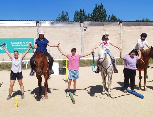 DIVERSIÓN EN EL CAMPAMENTO DE VERANO INCLUSIVO DE LA ASOCIACIÓN AL PASO