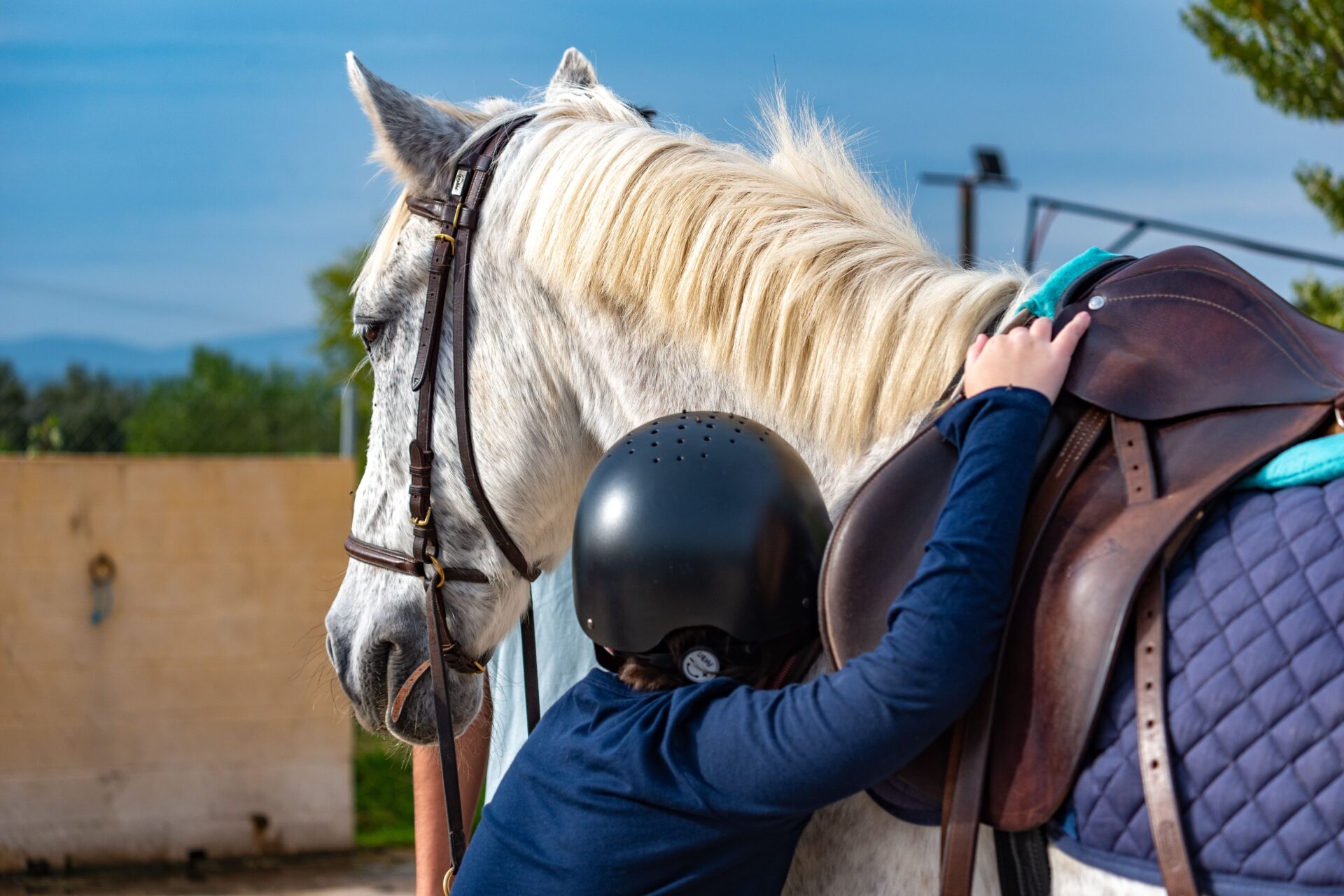 Niño abrazando a uno de los caballos