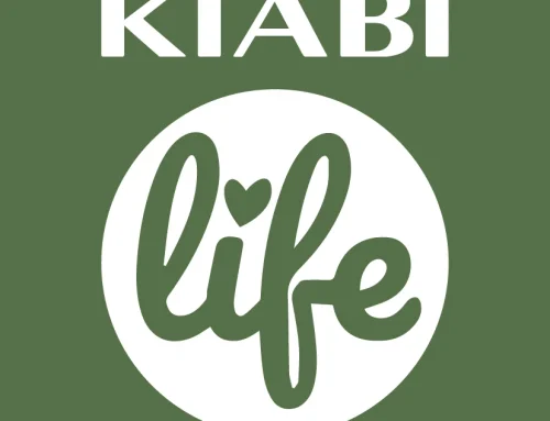 Becas Kiabi de Terapias Ecuestres: apoyo económico para familias y niños con diversidad funcional